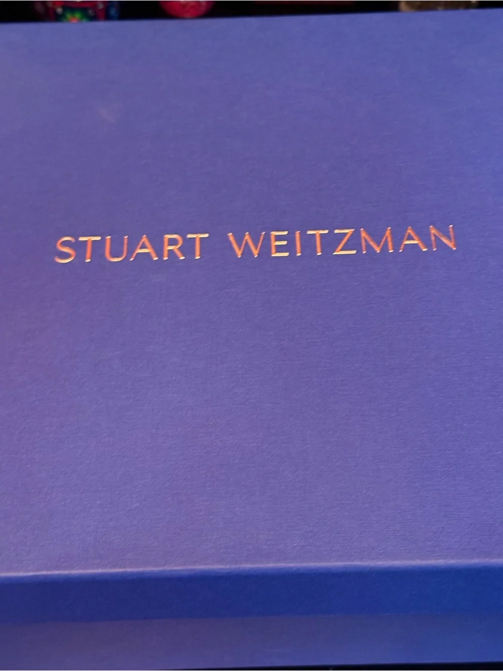 Stuart Weitzman sleek stuart